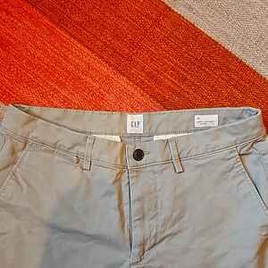 NWOT Men's Gap 7in short , 30 waist